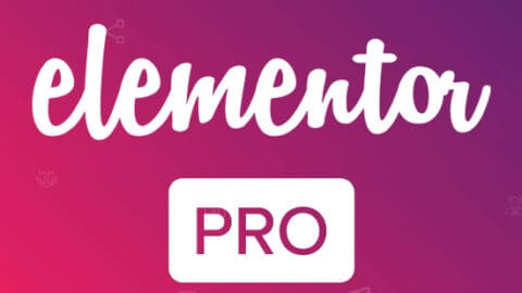 Elementor Pro